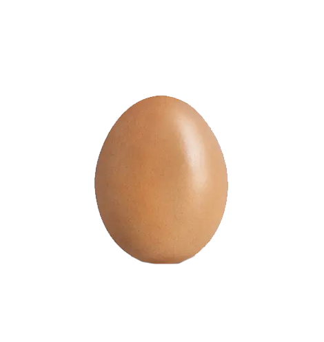 egg