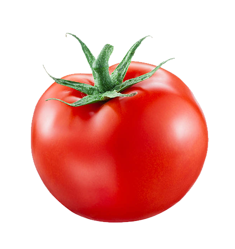 tomato